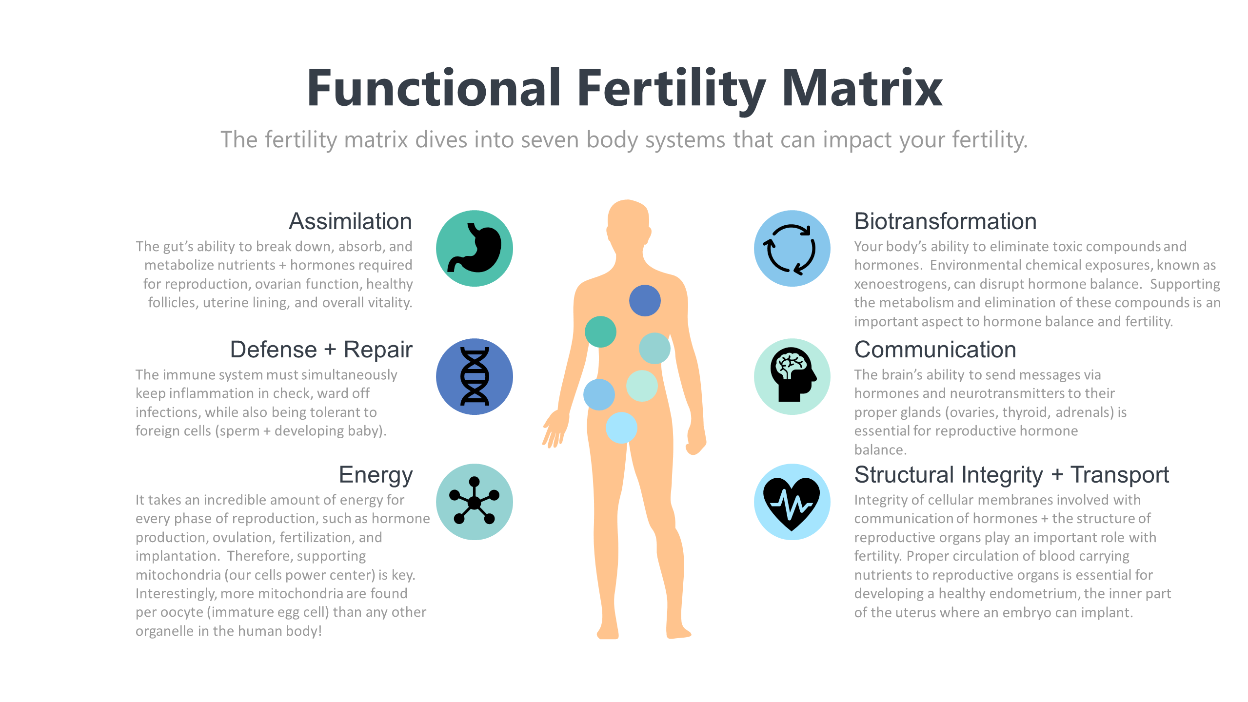 functional fertility
